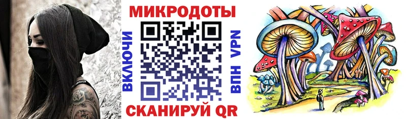 продажа наркотиков  Белозерск  Галлюциногенные грибы Psilocybine cubensis 
